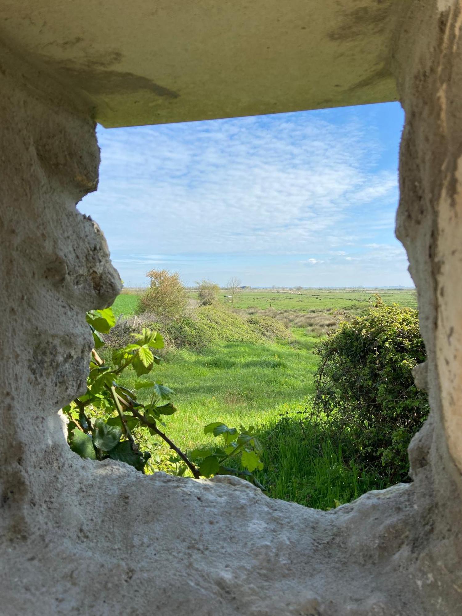 Chateau De Feusse Saint-Just-Luzac Ngoại thất bức ảnh